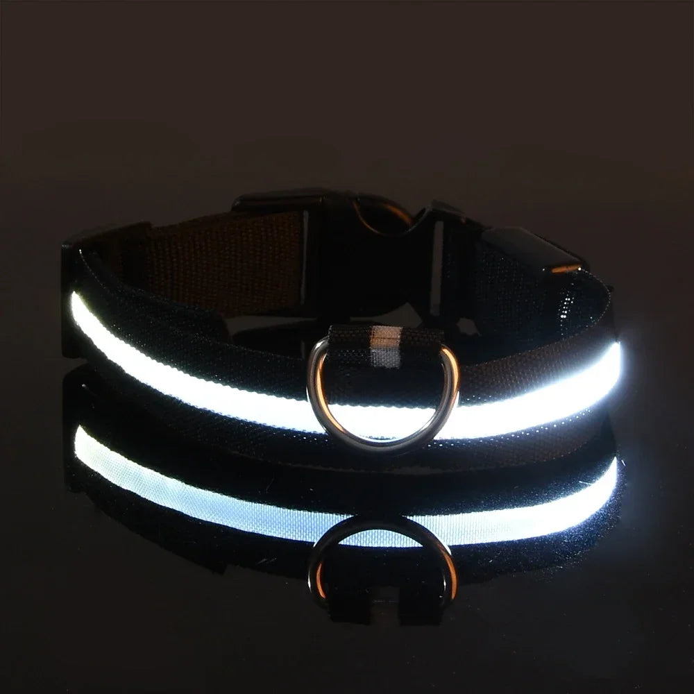 Dog Collar Nylon LED Night Safety Flashing - ProPawPet.com