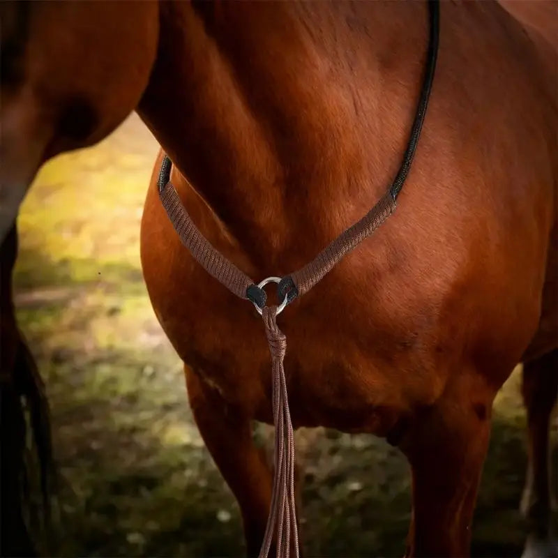 R6FE Equestrian Horse Tacks Neck Rope with - ProPawPet.com