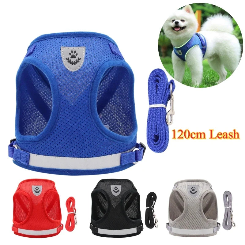 Adjustable Pet Dog Cat Harness and Leash Set - ProPawPet.com
