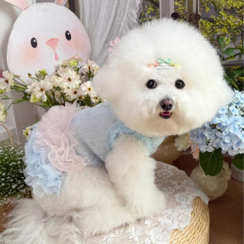 Summer Dog Gauze Skirt Blue Light CoolTeddy - ProPawPet.com