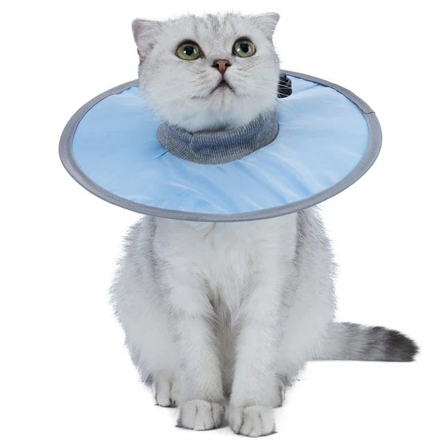 Cat Protective Collar Neck Recovery Cone – Cat Collars
