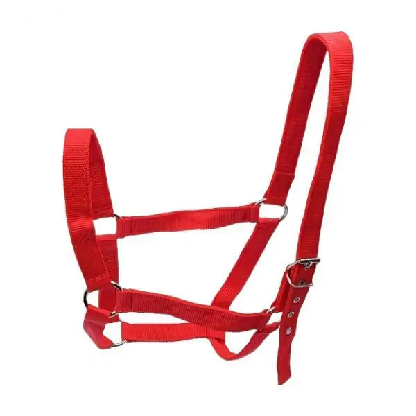Strong PP Webbing Horse Halter Adjustable Padded Training Rope – 3 Colors