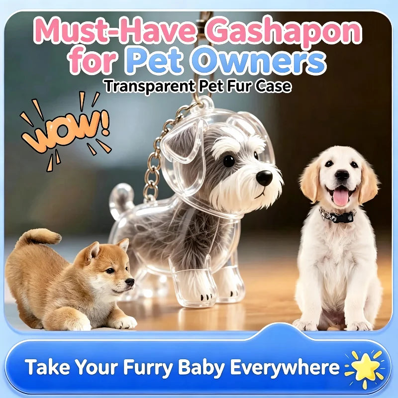 Transparent Pet Hair Capsule Keychain Dog - ProPawPet.com