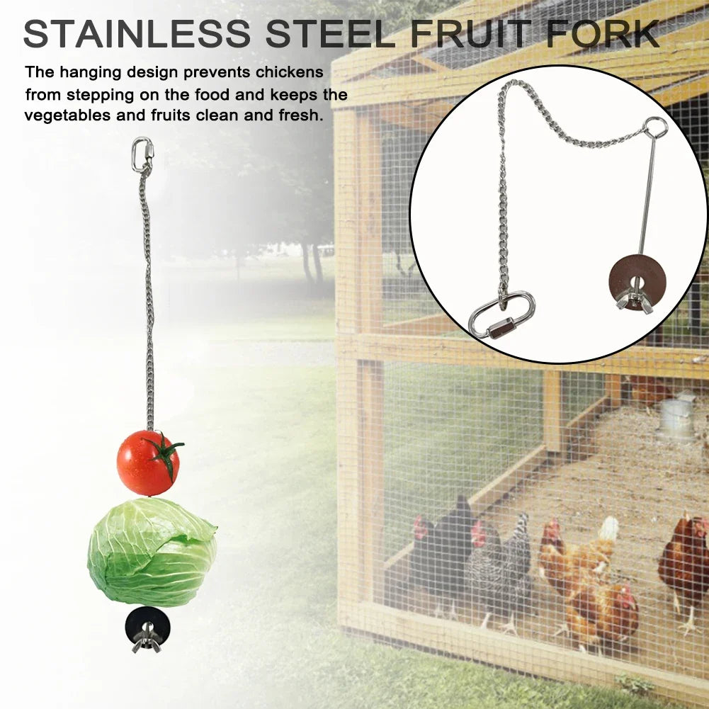Pet Parrot Stainless Steel Feeder Fruit Corn - ProPawPet.com