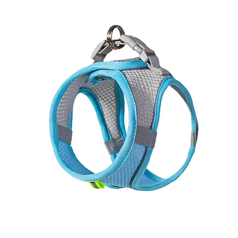 Cats Dog Accessories Small Dog Collar Safety - ProPawPet.com