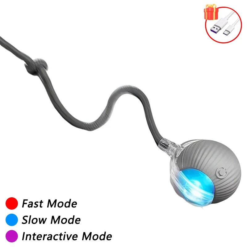 Rechargeable Auto Interactive Cat Ball with Faux Tail Wireless – 5 Colors