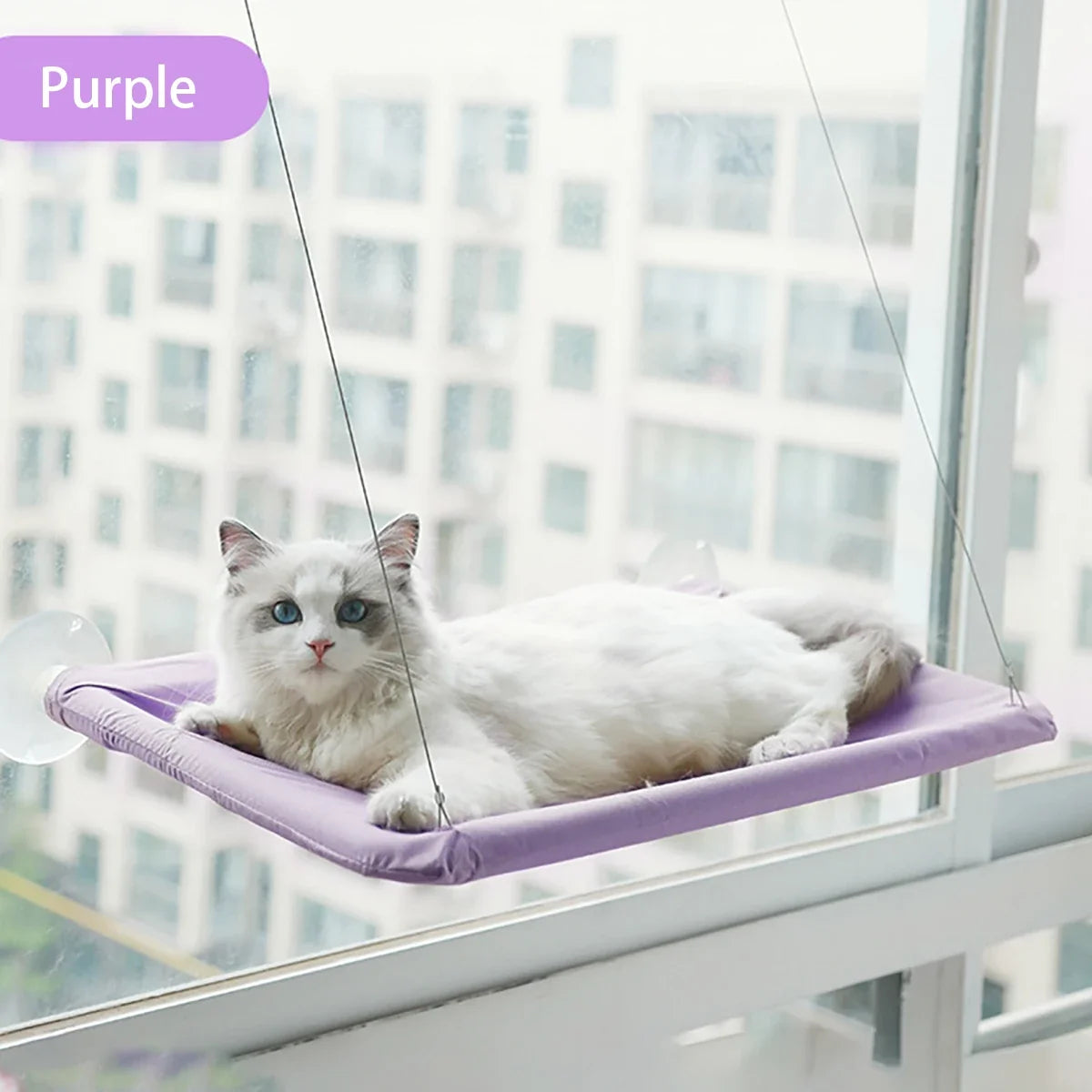 20kg Cat Hammock Hanging Bed Bearing Comfortable Sunny Window – Cat Beds & Mats