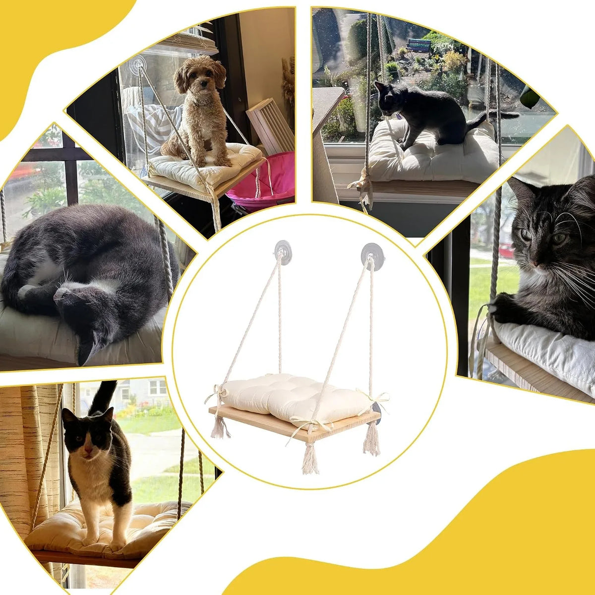 Cat Window Perch with Industrial-Grade - ProPawPet.com