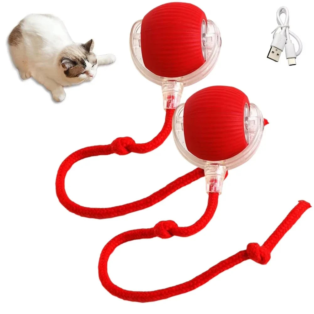 Rechargeable 1 Interactive Cat Toys Ball – Cat Supplies
