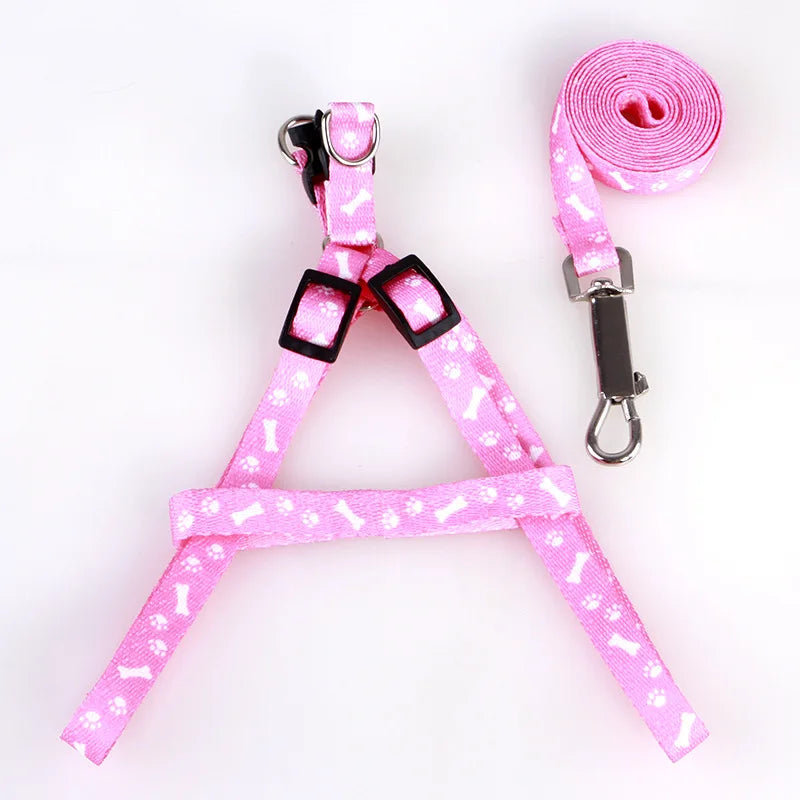 Small Dog Lead Puppy Leashes