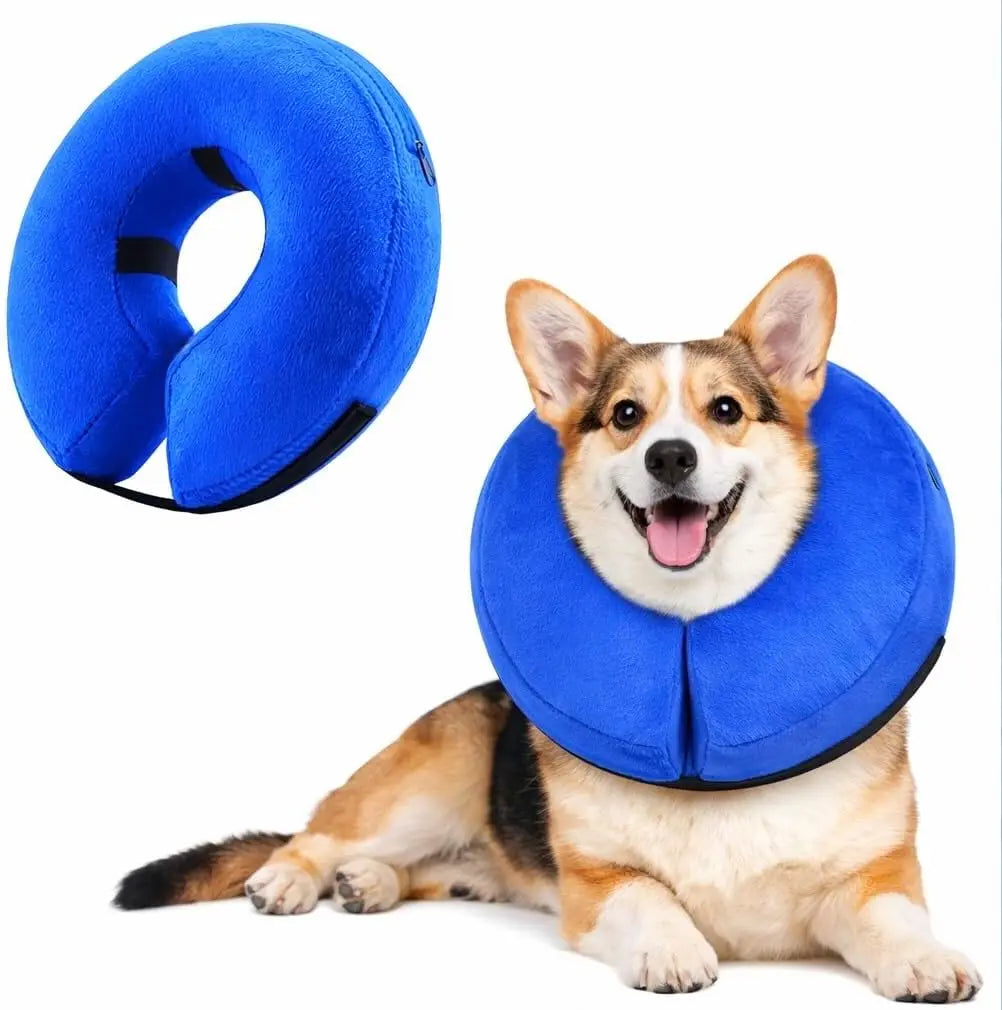 Soft Inflatable Dog Cone Collar Alternative - ProPawPet.com
