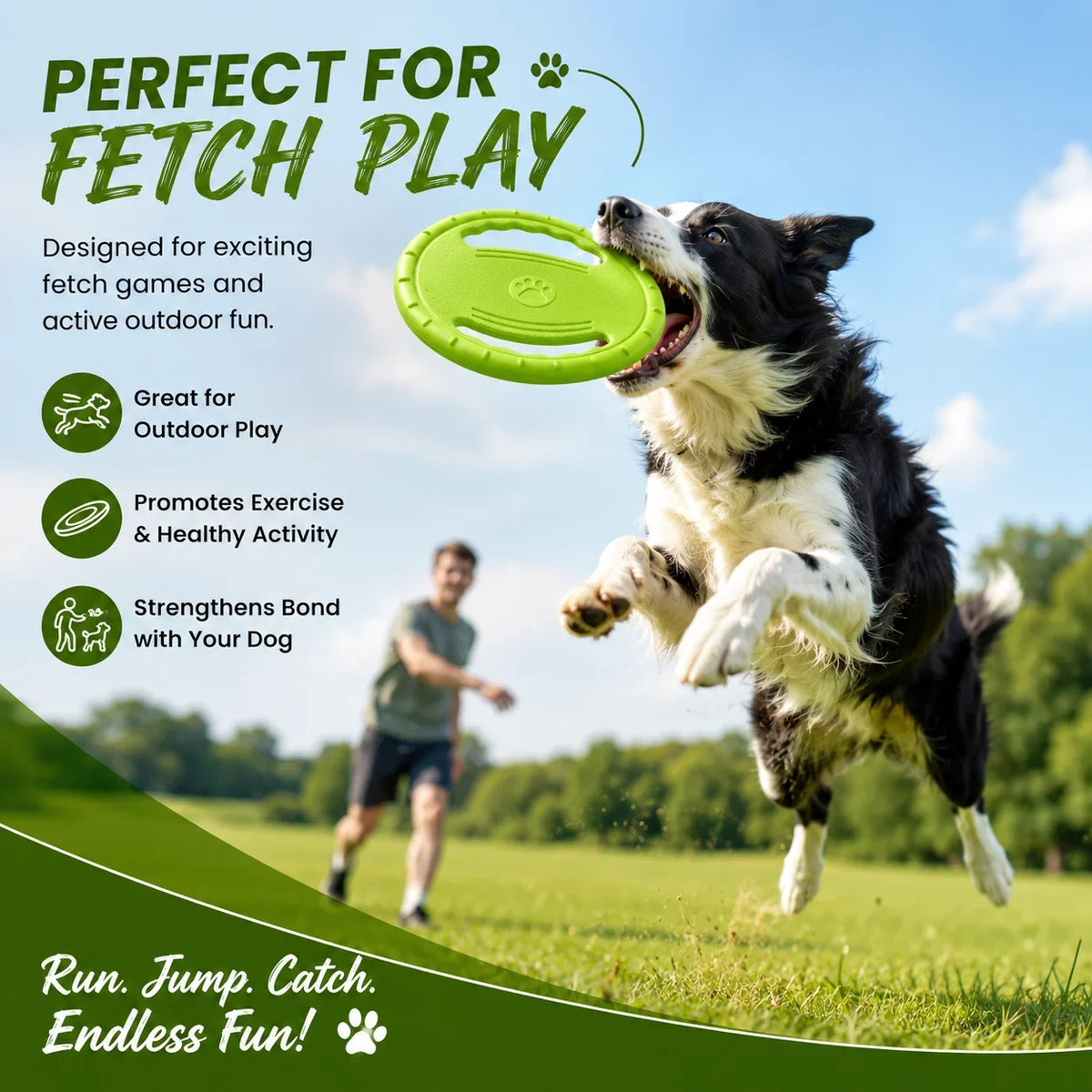 EVA Flying Disc Dog Training Toy Puppy - ProPawPet.com
