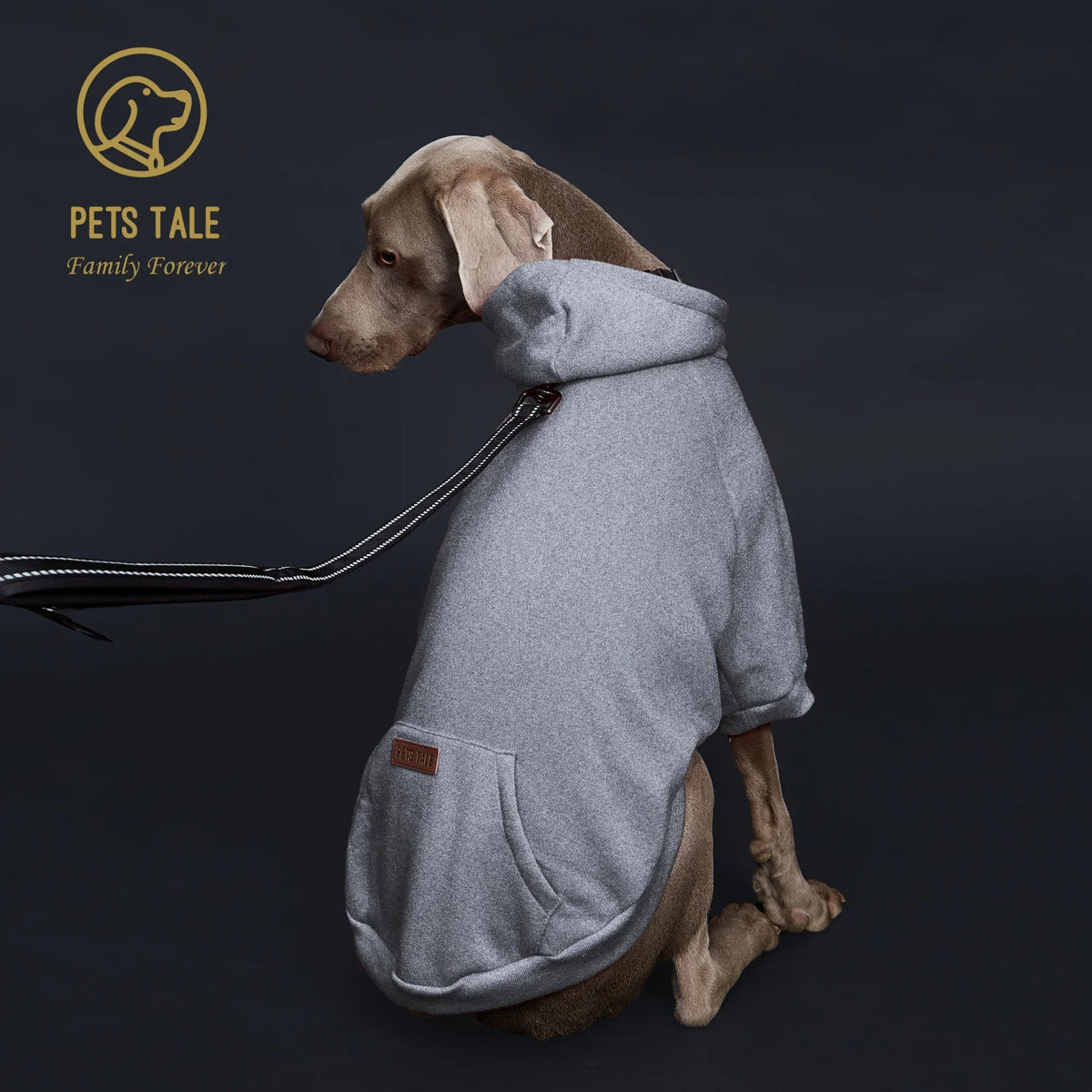Solid Color Dog Hoodie with Pocket, Leather - ProPawPet.com