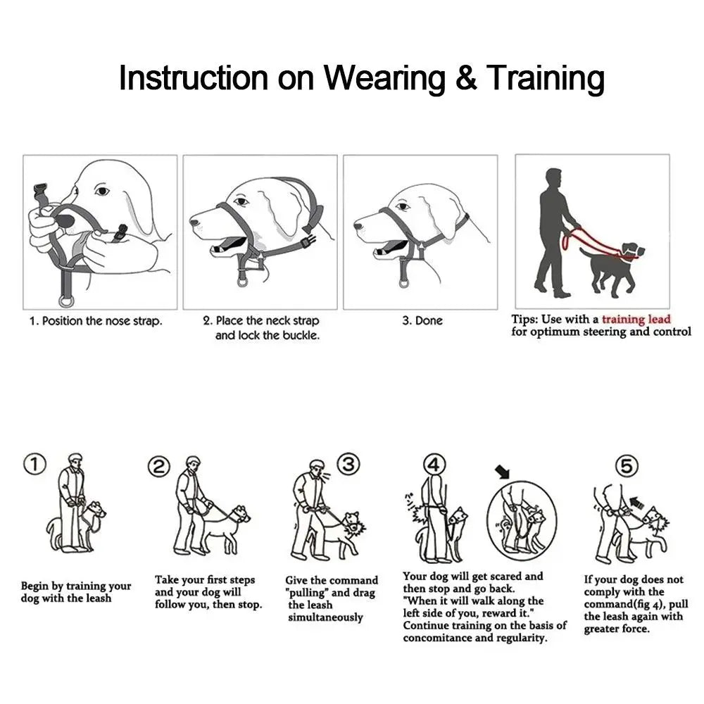 Adjustable Training Leash Anti barking Dog - ProPawPet.com