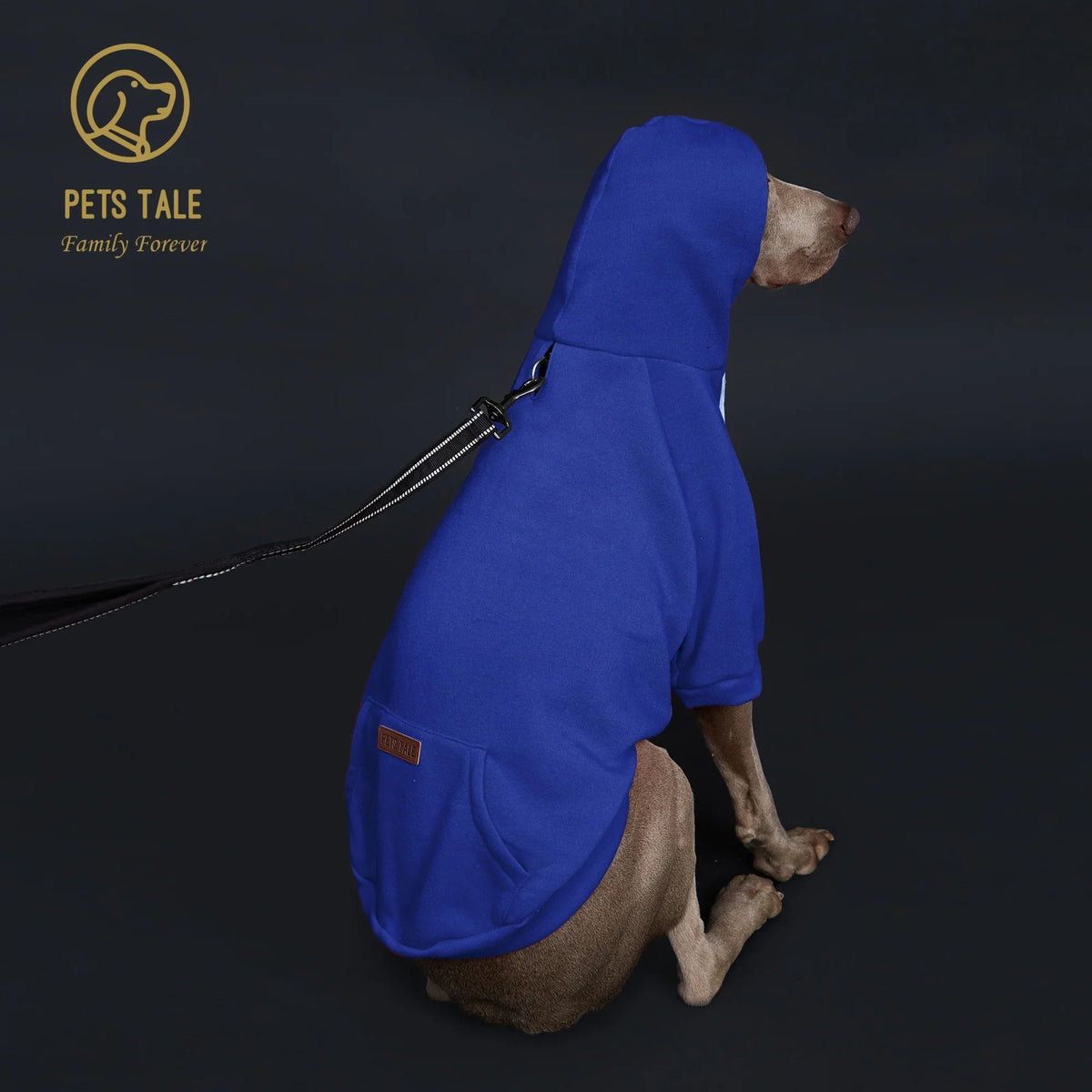 Solid Color Dog Hoodie with Pocket, Leather - ProPawPet.com