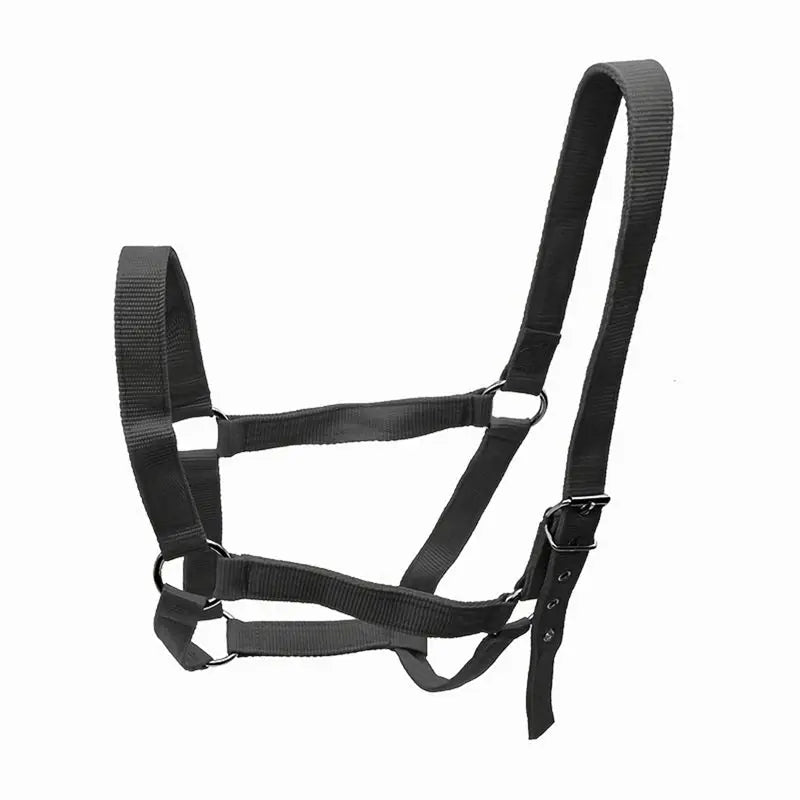 Training Rope Harness For Horse Halter - ProPawPet.com