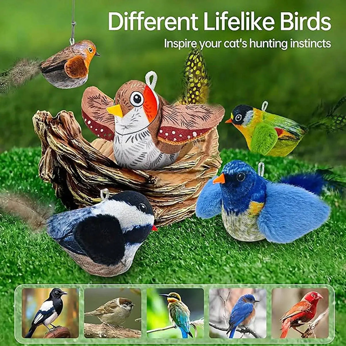 Indoor Interactive Birds Toy for Cat Chasing - ProPawPet.com