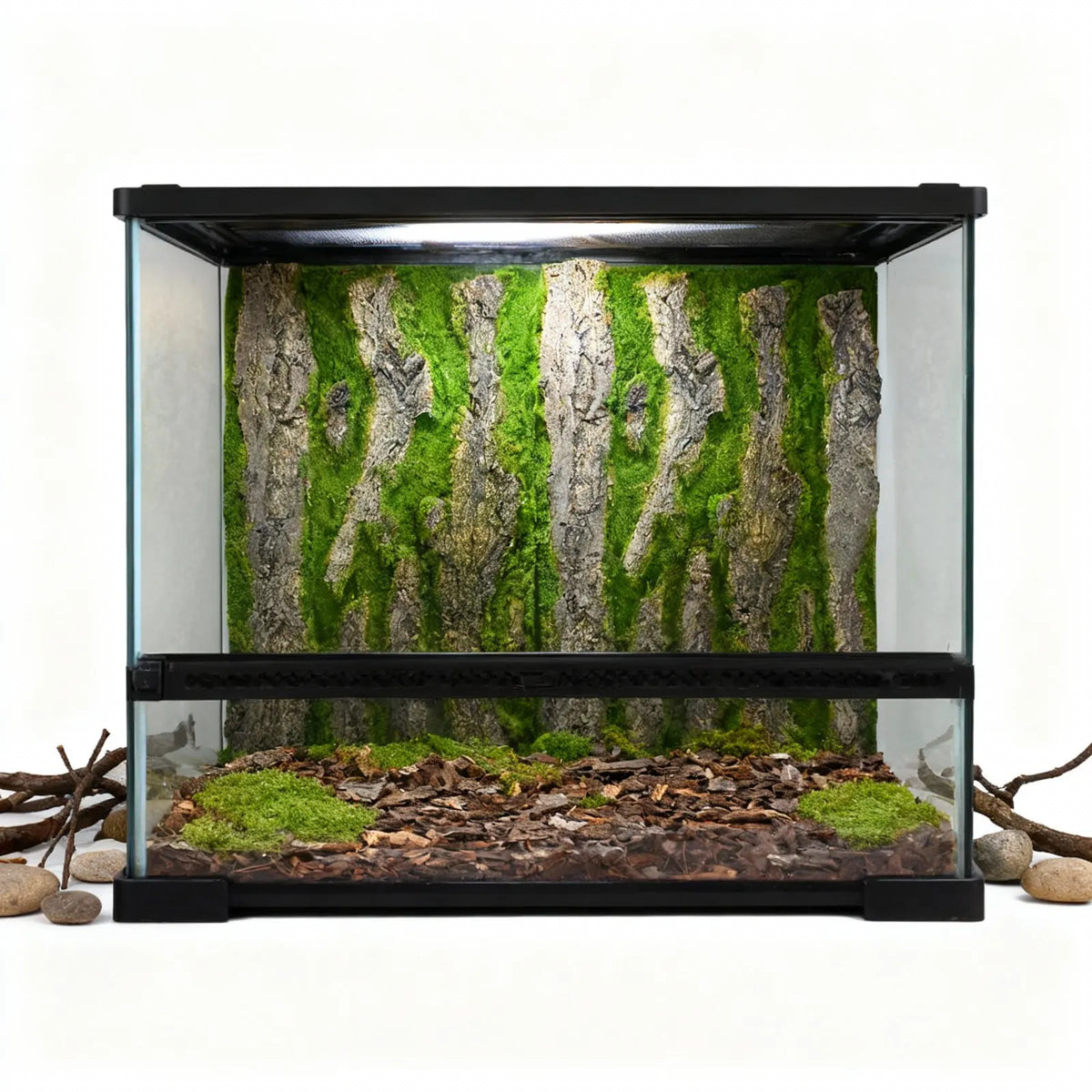 Reptile Tank Background Board 3D Aquarium - ProPawPet.com