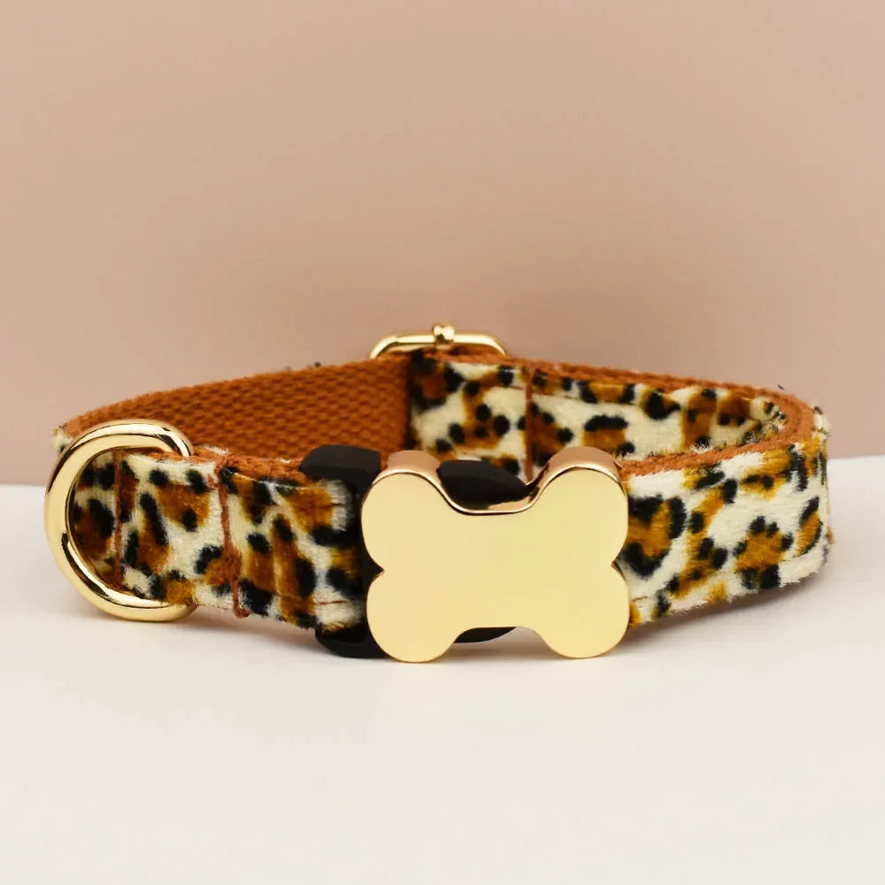Premium Custom Engraved Dog Collar for Small - ProPawPet.com