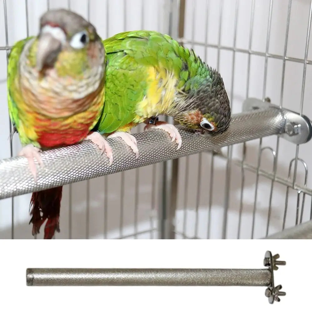 Safe Teeth Grinder Stainless Steel Parrot - ProPawPet.com