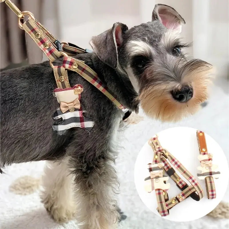 2pcs/set Pet Vest Lovely Collar , Dog - ProPawPet.com