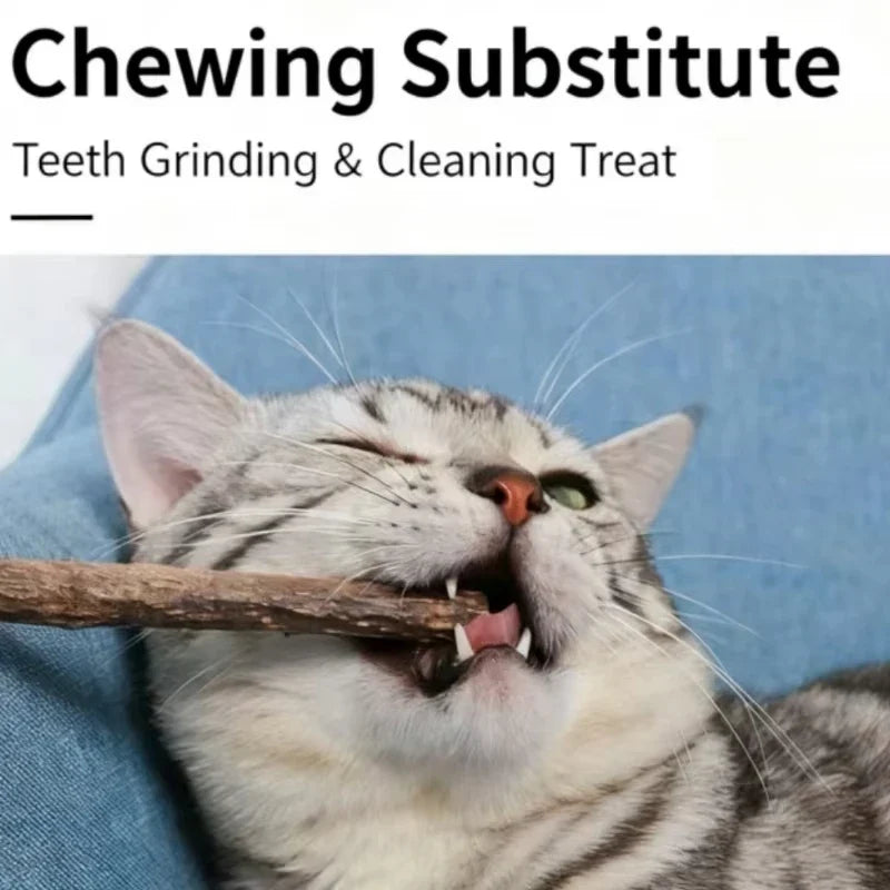 Natural Silver Vine Chew Sticks Catnip Molar - ProPawPet.com