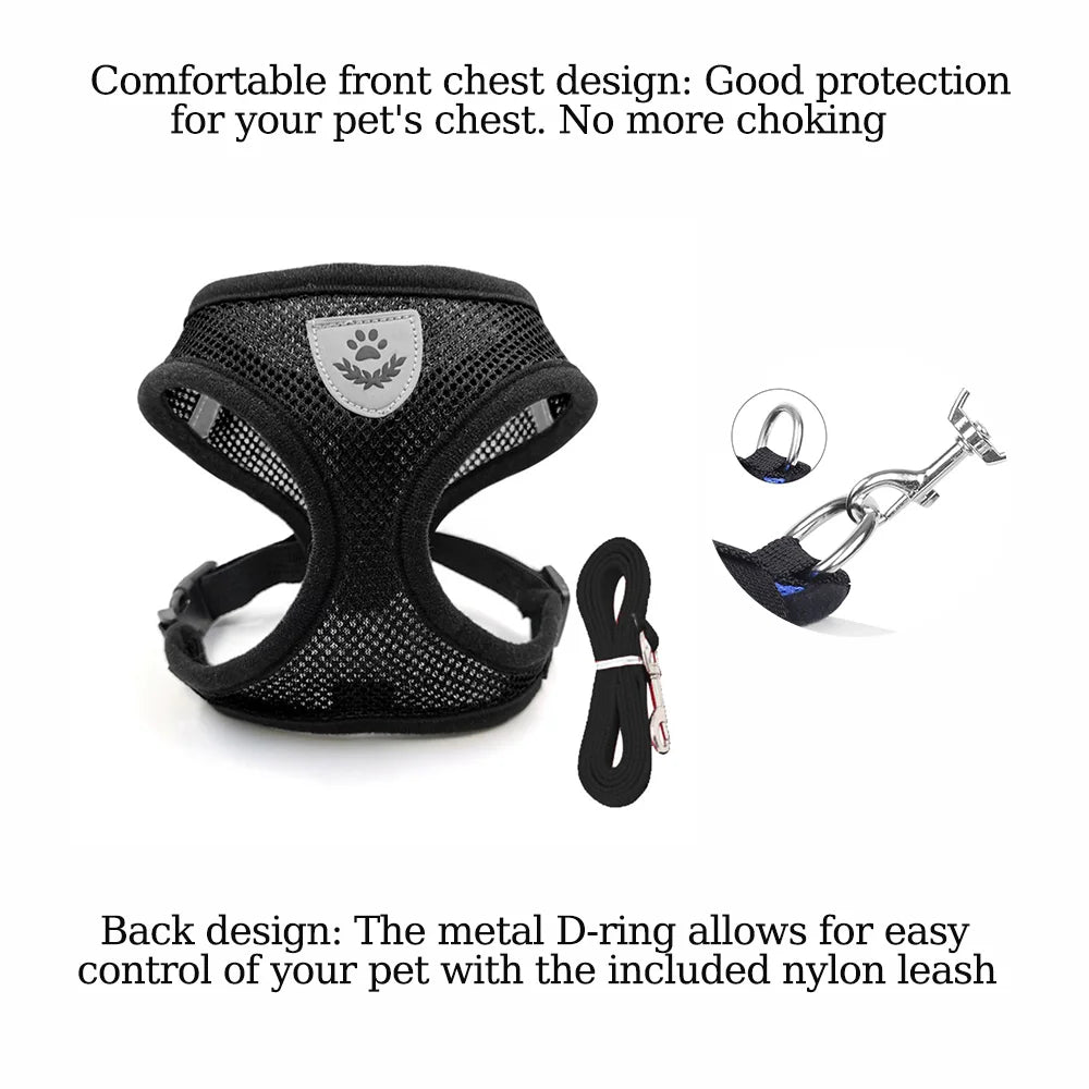 Adjustable Cat Dog Harness Leash Set - ProPawPet.com
