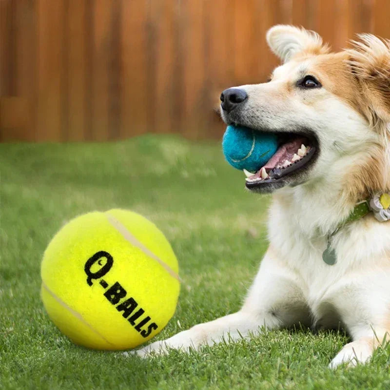 Dog Toy Set Q-MONSTER Thick Walled Natural - ProPawPet.com