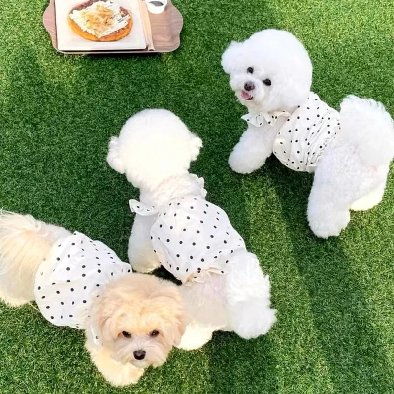Cute Pet Dog Dress Dot Dog Summer Clothes - ProPawPet.com