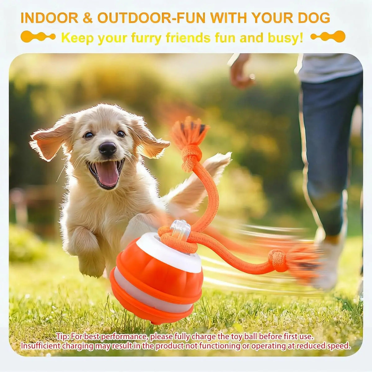 Interactive Dog Toy Ball with Rope - ProPawPet.com