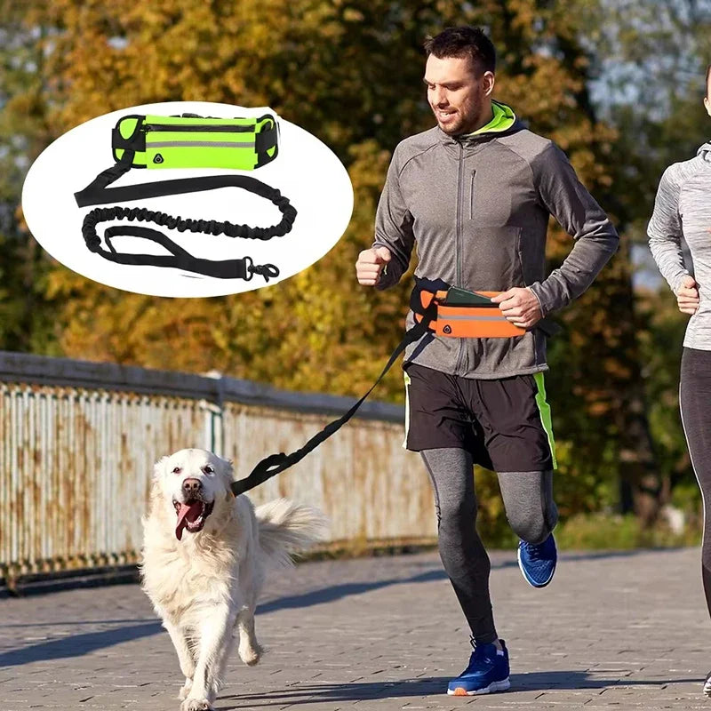 Hands-Free Dog Leash Waist Bag Reflective - ProPawPet.com