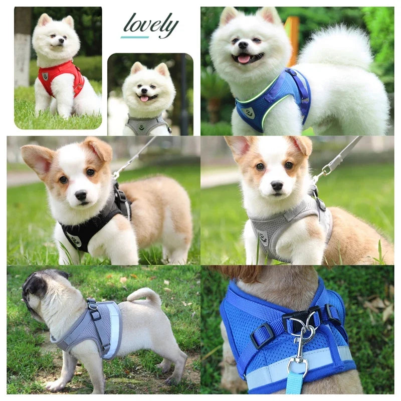 Adjustable Pet Dog Cat Harness and Leash Set - ProPawPet.com