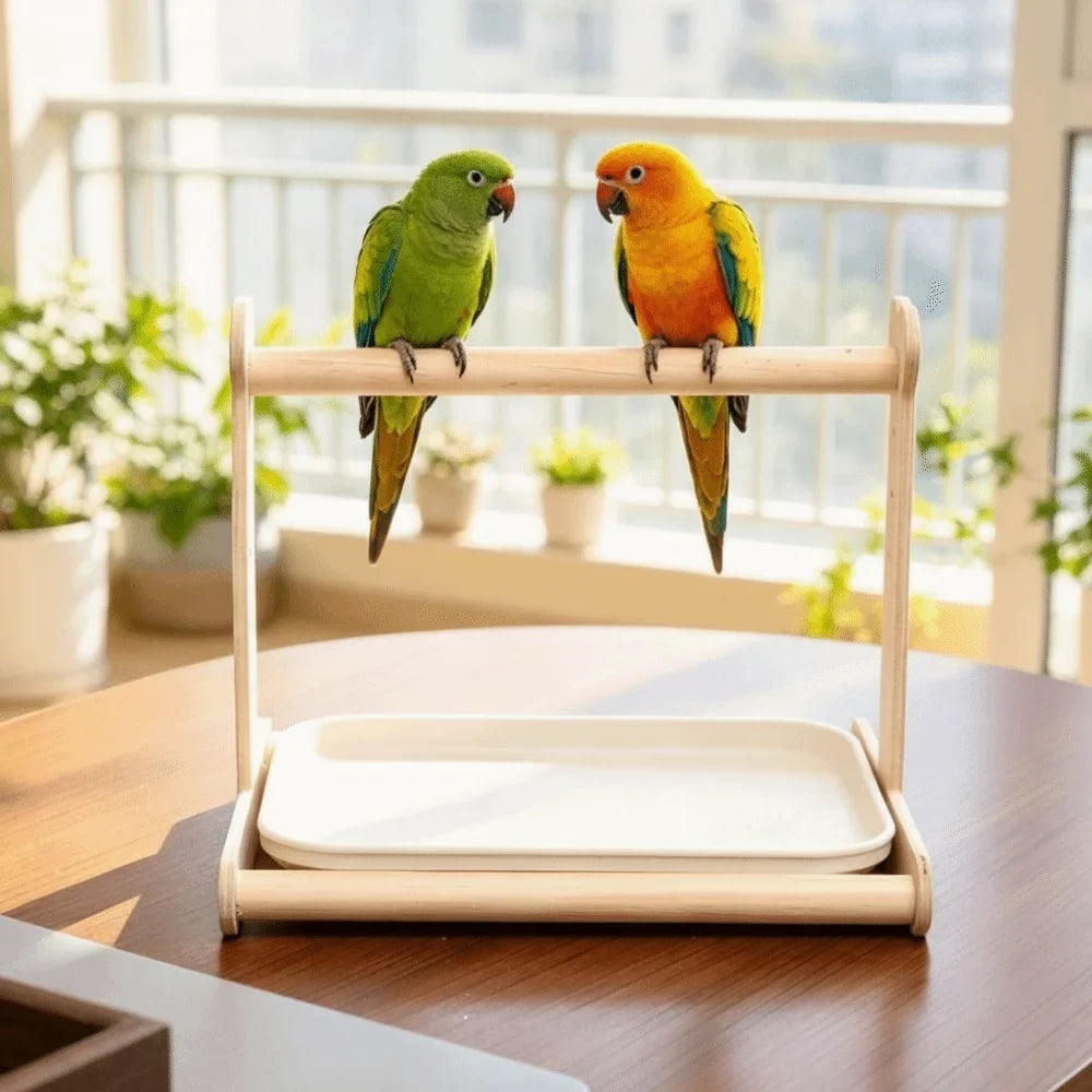 Wood Creative Parrot Potty Training Platform Anti Splash Design Non, Non-Slip