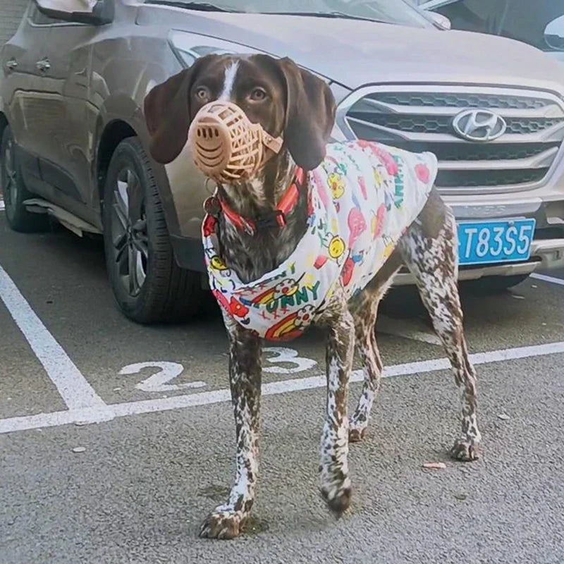 Fashion Big Dog Waterproof Jacket Autumn - ProPawPet.com