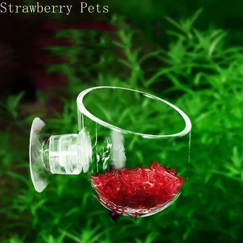 Aquarium Decoration Hanging Fish Tank Mini - ProPawPet.com