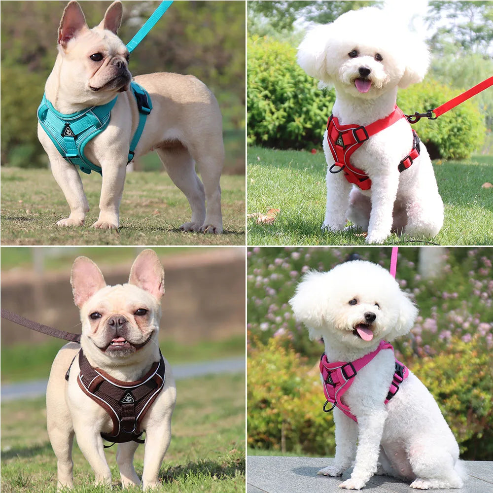 Harness and Leash Set Pet Accessories Dog - ProPawPet.com