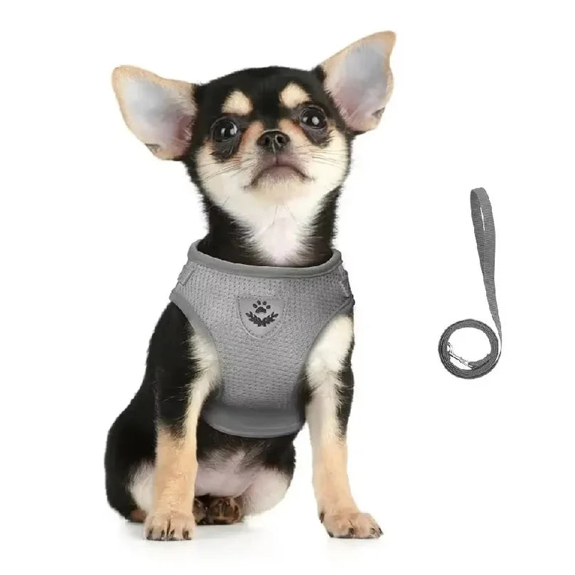 Escape Proof Cat Harness Adjustable - ProPawPet.com