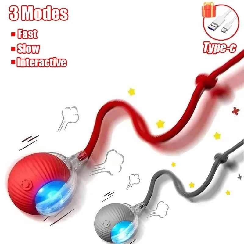 Indoor Interactive Birds Toy for Cat Chasing - ProPawPet.com