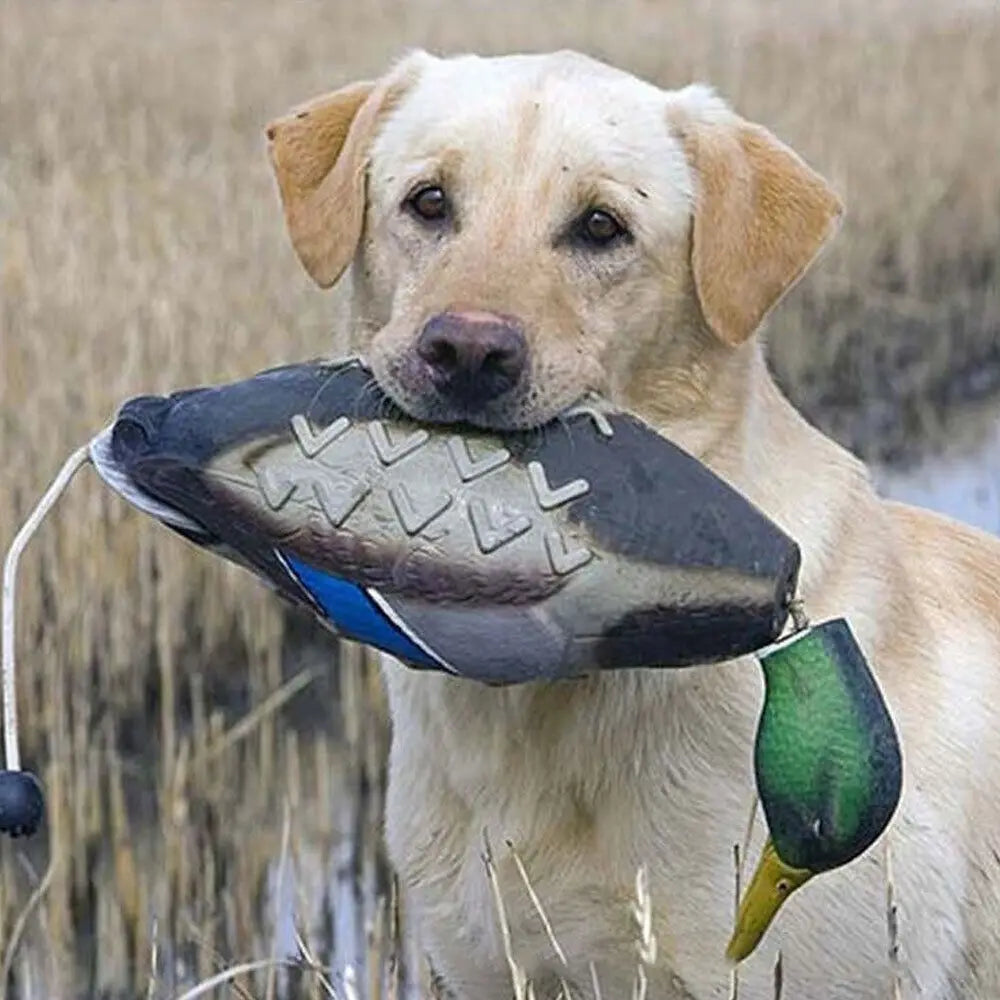Mallard Duck Decoy Dog Training Toys For - ProPawPet.com