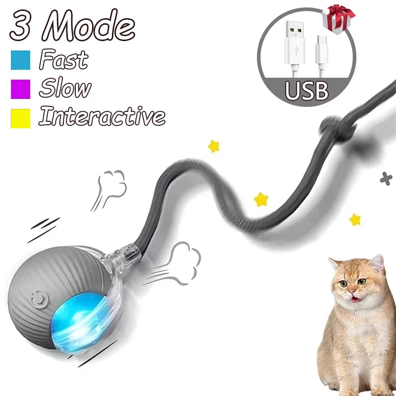 Rechargeable Cat Infrared Interactive Ball Toys – Cat Supplies