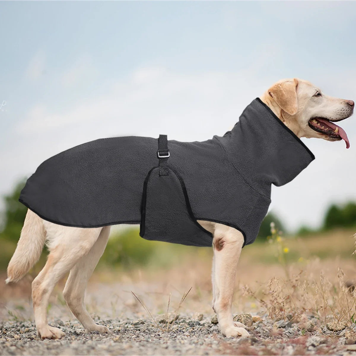 High Collar Warm Dog Coat with Adjustable - ProPawPet.com