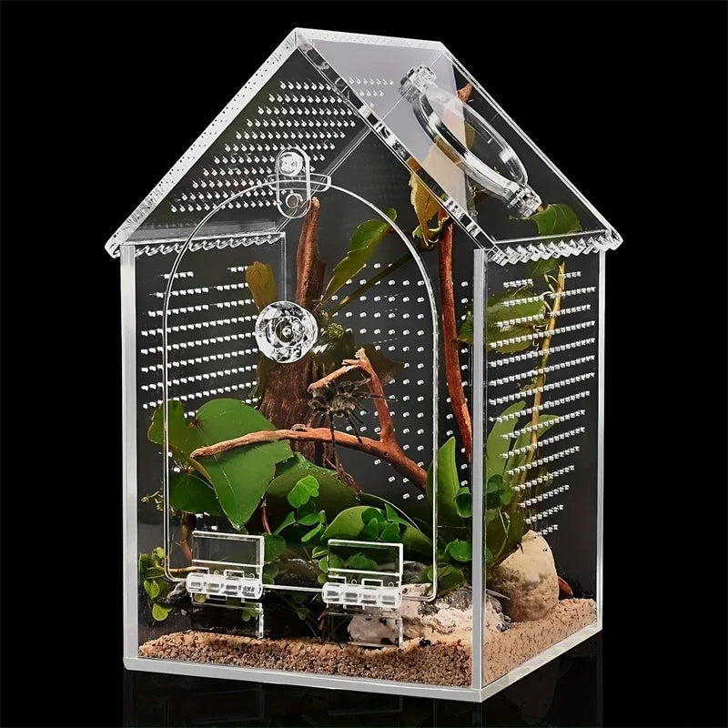 Transparent Acrylic House Insect Habitat Box - ProPawPet.com