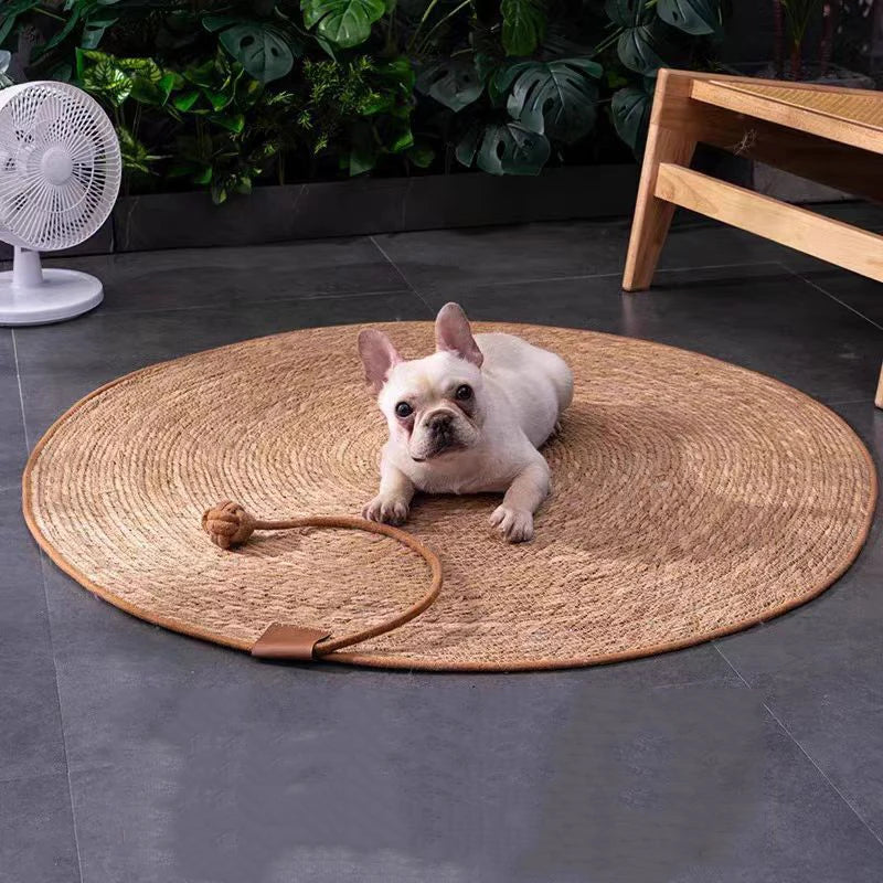 Cat Scratcher Rattan Mat Board Cat Scratch - ProPawPet.com