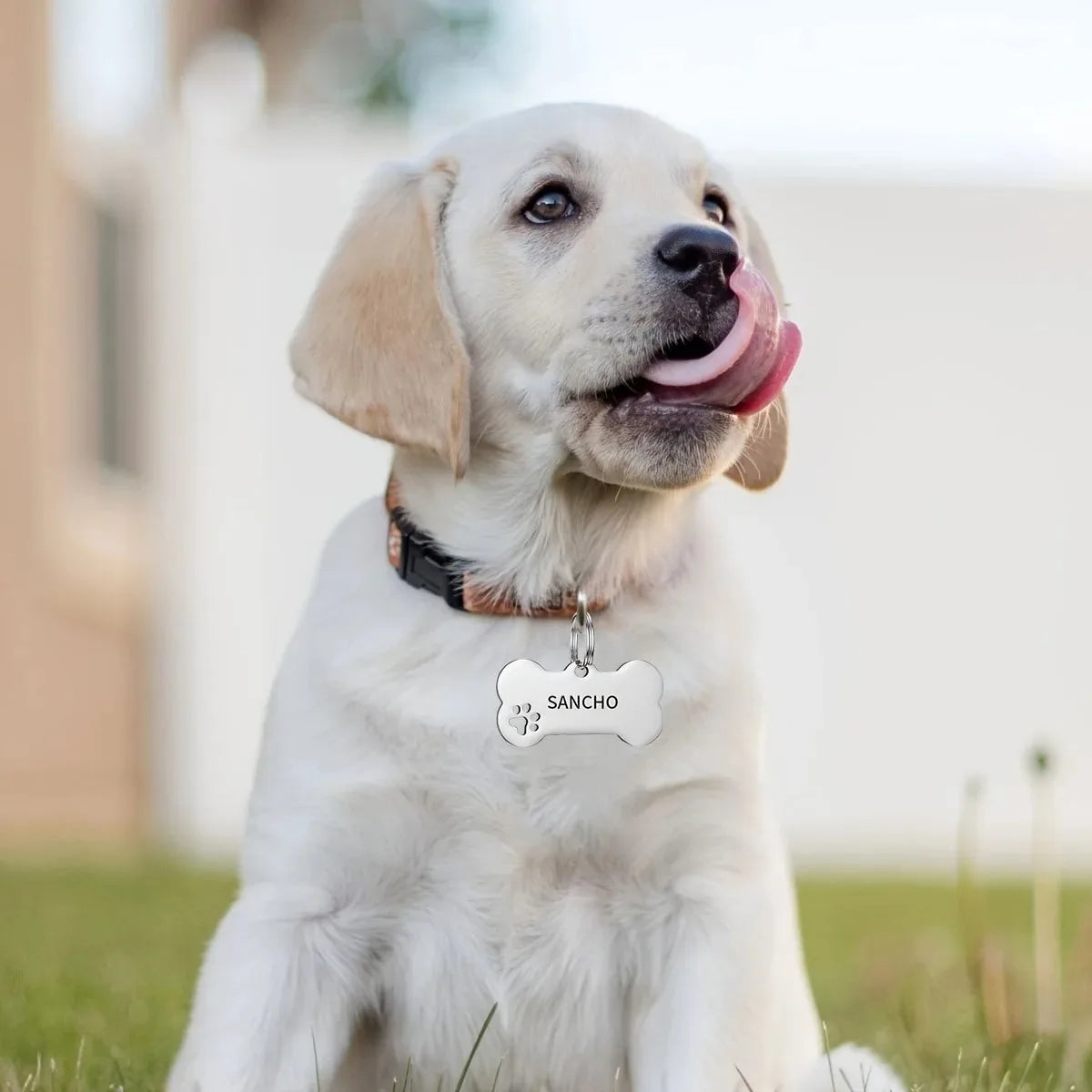 Personalized Bone Shaped Pet ID Tag - - ProPawPet.com