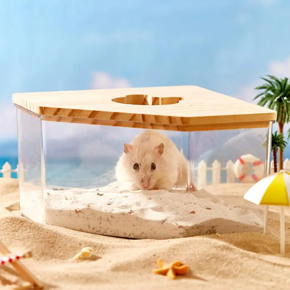 Acrylic Fully Transparent Large Pet Hamster - ProPawPet.com