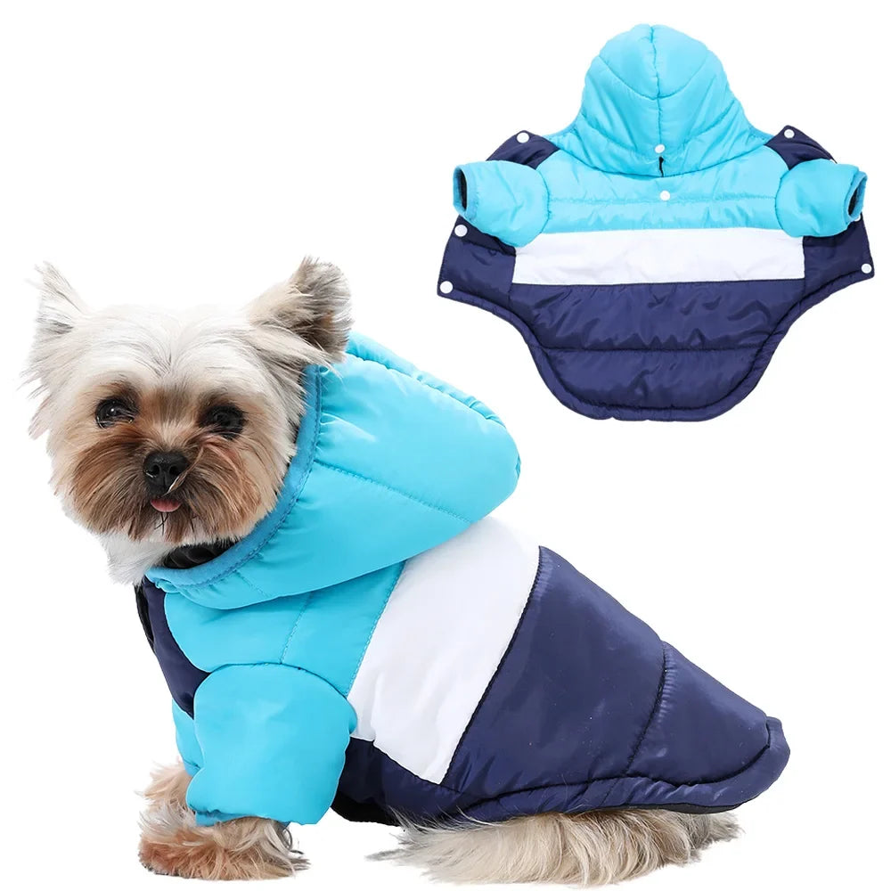 Windproof Pet Dog Jacket Coat Winter Warm - ProPawPet.com