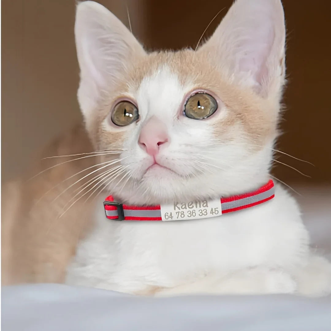 13 Colors Custom Engraved Reflective Cat - ProPawPet.com