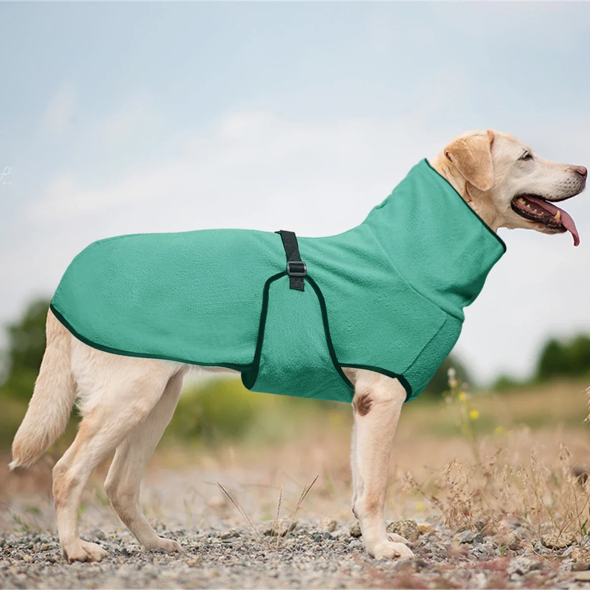 High Collar Warm Dog Coat with Adjustable - ProPawPet.com