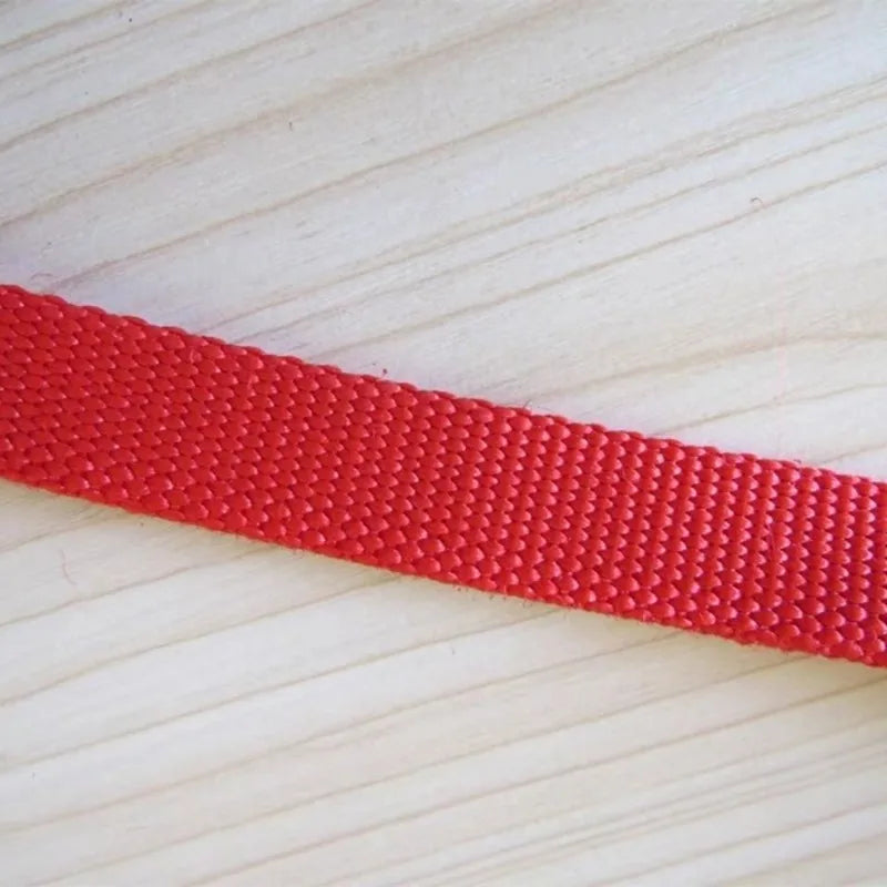 Horse Rope Leading Rope Multi-Color Small - ProPawPet.com