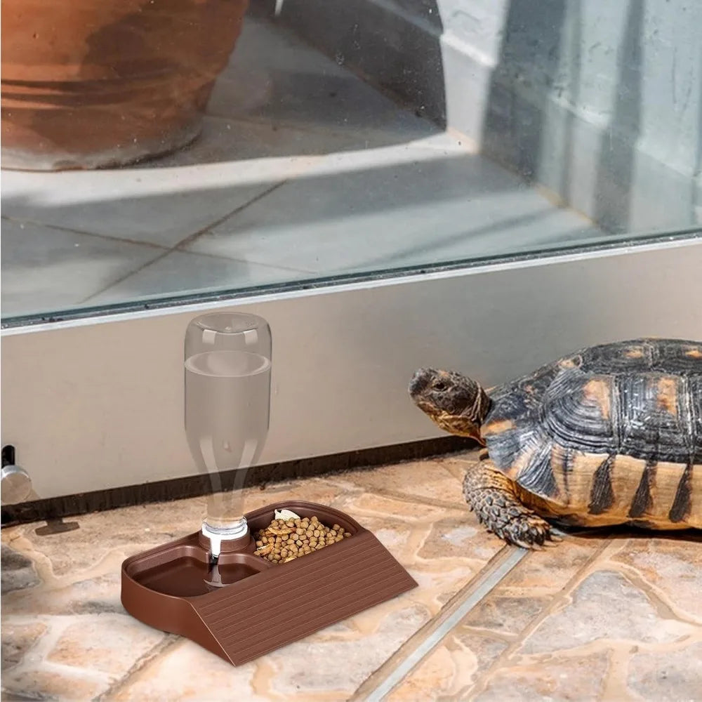 Reptile Water ,Dish Food Feeders Bowl,Large - ProPawPet.com